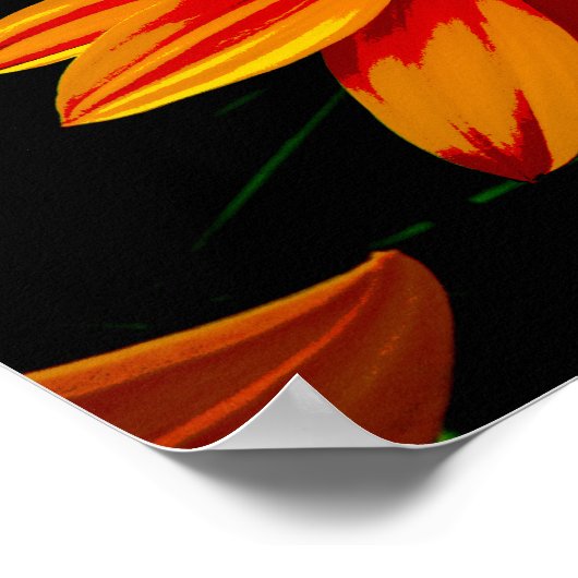 Vlinder op vurige Oranje bloem - Bold Natuur Art Poster (Hoek)