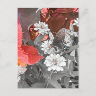 Vlinder op witte bloemen met rode bladeren briefkaart