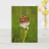  vlinder op witte wilde bloemen kaart (Gele Bloem)