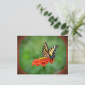 Vlinder op Zinnia Briefkaart (Staand voorkant)