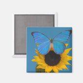 Vlinder op zonnebloem magneet (Voorkant / Achterkant)