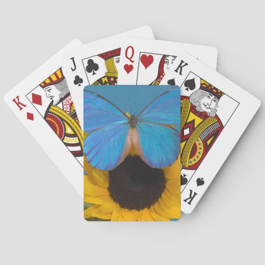 Vlinder op zonnebloem pokerkaarten (Achterkant)