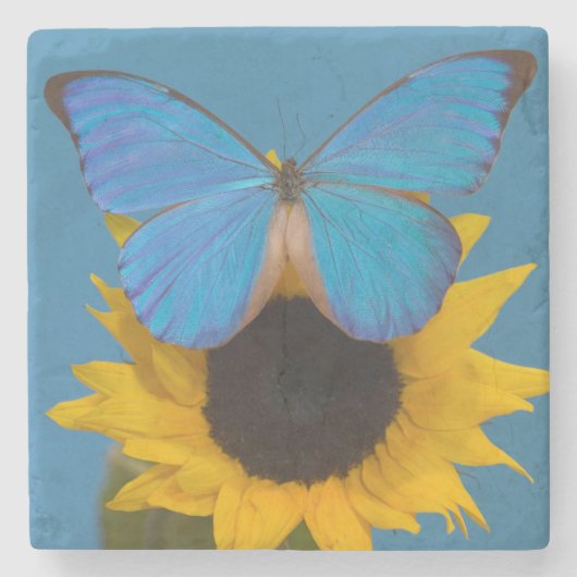 Vlinder op zonnebloem stenen onderzetter (Voorkant)