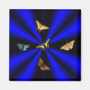 Vlinder op zwart en blauwe regenboog magneet