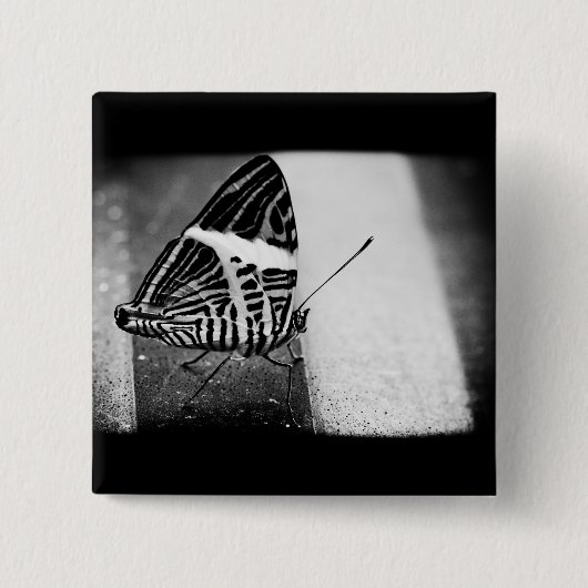 vlinder overstekend vierkante button 5,1 cm (Voorkant)