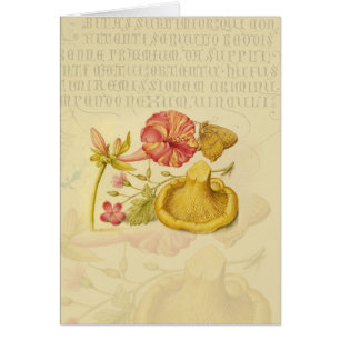 Vlinder Paddestoel Bloem Waterverf Schilderij