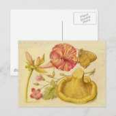 Vlinder Paddestoel Bloem Waterverf Schilderij Briefkaart (Voorkant / Achterkant)