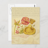 Vlinder Paddestoel Bloem Waterverf Schilderij Briefkaart (Voorkant / Achterkant)