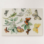  vlinder Papillon oude illustratie Legpuzzel (Horizontaal)