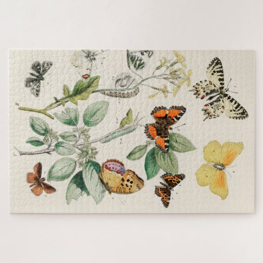  vlinder Papillon oude illustratie Legpuzzel (Horizontaal)