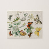  vlinder Papillon oude illustratie Legpuzzel (Horizontaal)
