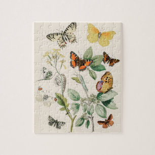 vlinder Papillon oude illustratie Legpuzzel