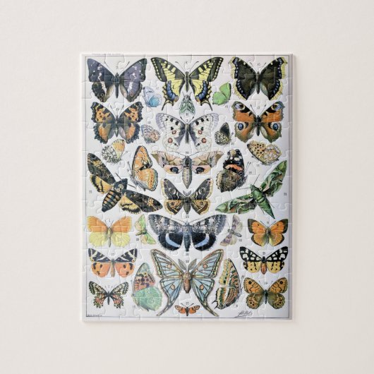 vlinder Papillon oude illustratie Legpuzzel (Verticaal)