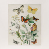  vlinder Papillon oude illustratie Legpuzzel (Verticaal)