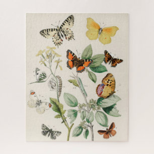 vlinder Papillon oude illustratie Legpuzzel