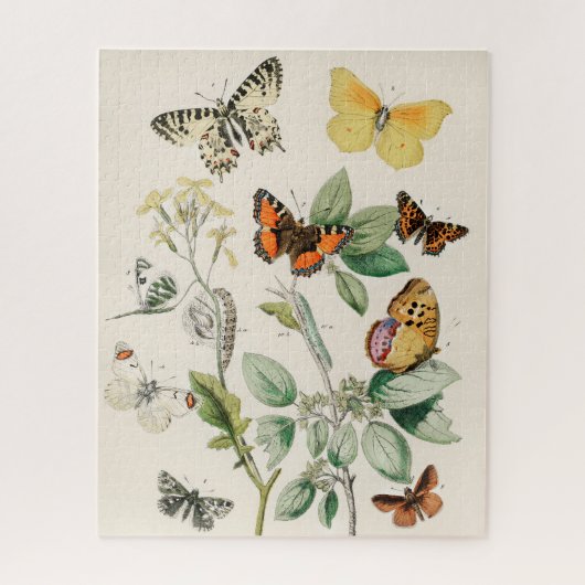  vlinder Papillon oude illustratie Legpuzzel (Verticaal)