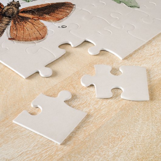 vlinder Papillon oude illustratie Legpuzzel (Zijkant)