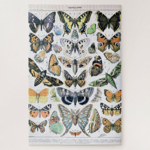 vlinder Papillon oude illustratie Legpuzzel
