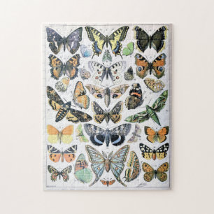 vlinder Papillon oude illustratie Legpuzzel