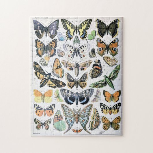  vlinder Papillon oude illustratie Legpuzzel (Verticaal)