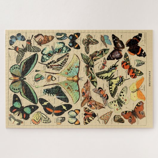  vlinder Papillon oude illustratie Legpuzzel (Horizontaal)