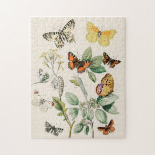 vlinder Papillon oude illustratie Legpuzzel