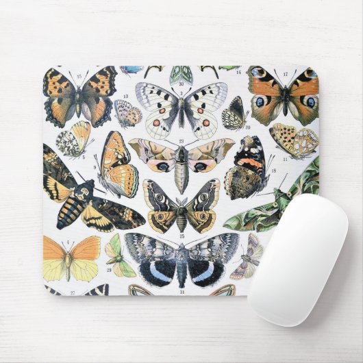 vlinder Papillon oude illustratie Muismat (Met muis)
