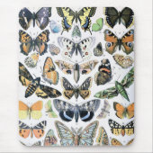  vlinder Papillon oude illustratie Muismat (Voorkant)