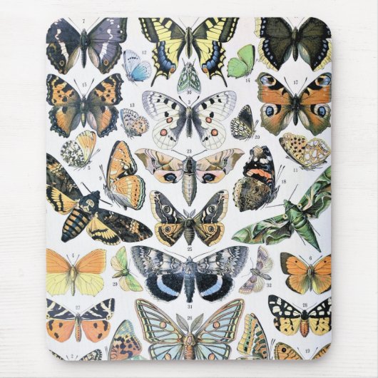 vlinder Papillon oude illustratie Muismat (Voorkant)