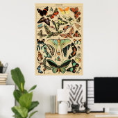 vlinder Papillon oude illustratie Poster (Thuiskantoor)