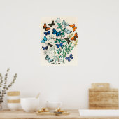 vlinder Papillon oude illustratie Poster (Keuken)
