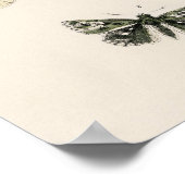 vlinder Papillon oude illustratie Poster (Hoek)