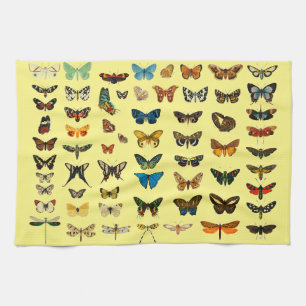  vlinder Papillon oude illustratie Theedoek