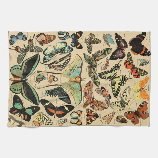 vlinder Papillon oude illustratie Theedoek (Horizontaal)