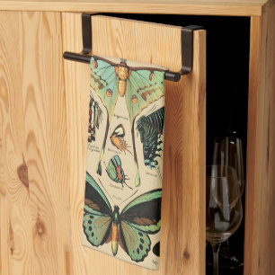 vlinder Papillon oude illustratie Theedoek