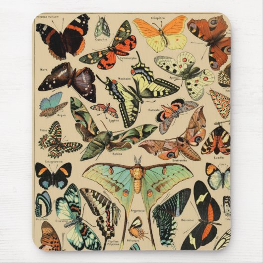  vlinder/papillons muismat (Voorkant)