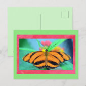 Vlinder Posed Briefkaart (Voorkant / Achterkant)