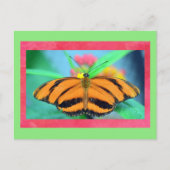 Vlinder Posed Briefkaart (Voorkant)