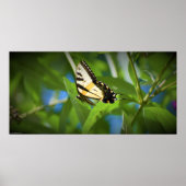 Vlinder, poster (Voorkant)