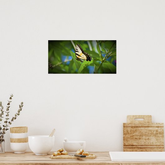 Vlinder, poster (Keuken)