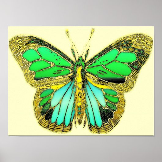 Vlinder Poster (Voorkant)