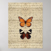 vlinder poster (Voorkant)