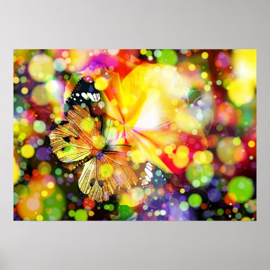 Vlinder Poster (Voorkant)