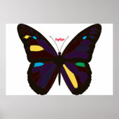 Vlinder Poster (Voorkant)