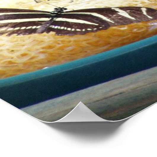 vlinder poster (Hoek)