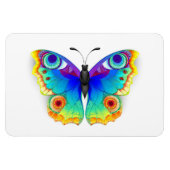 Vlinder Regenboog Pauwenoog Magneet (Horizontaal)