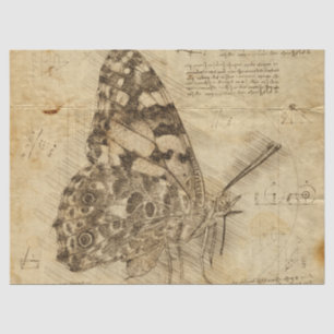 vlinder Robuuste stijl Ontkoppeling Tissuepapier