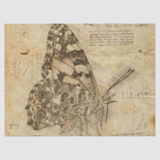  vlinder | Robuuste stijl | Ontkoppeling Tissuepapier (Voorkant)