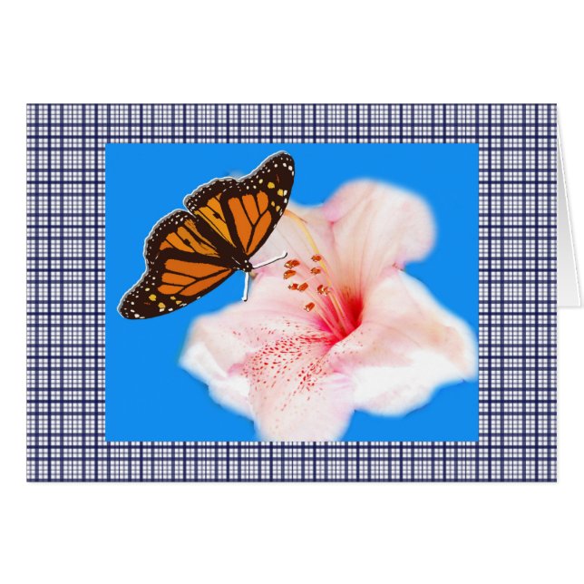 Vlinder, roze bloem en plaids 2 (Voorkant Horizontaal)