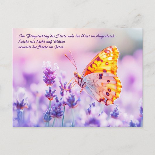 Vlinder rust op lavendel in zonlicht feestdagenkaart (Voorkant)